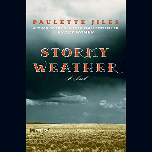 Stormy Weather cover art