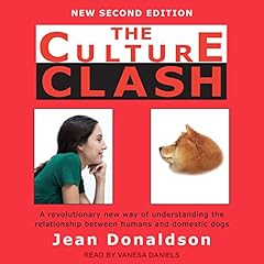 The Culture Clash cover art