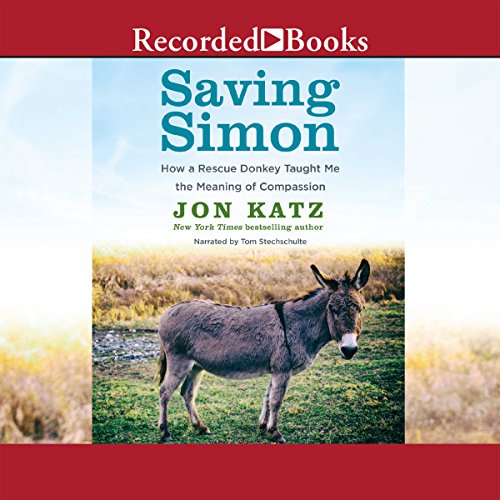 Page de couverture de Saving Simon