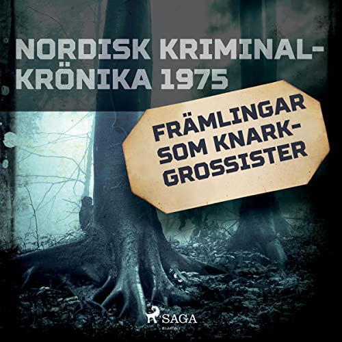 Främlingar som knarkgrossister Audiolivro Por div. capa