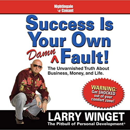 Success Is Your Own Damn Fault cover art