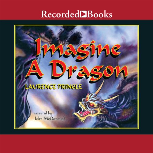 Imagine a Dragon cover art