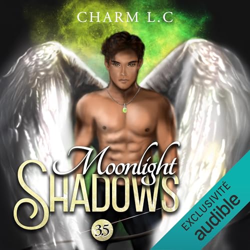 Couverture de Moonlight Shadows 3.5