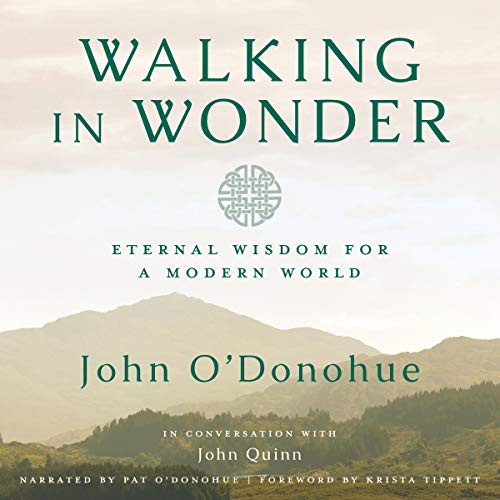 Walking in Wonder Audiolivro Por John O'Donohue, Krista Tippett - foreword capa