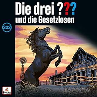 Die drei ??? und die Gesetzlosen Titelbild