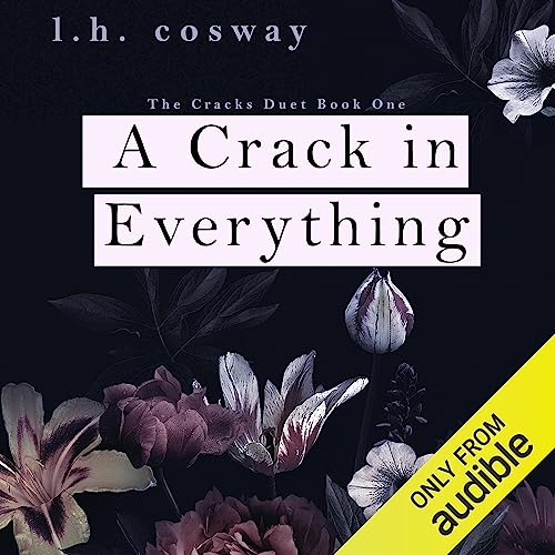 Couverture de A Crack in Everything