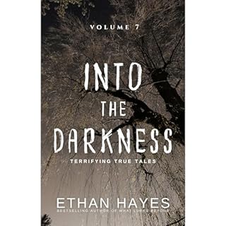 Into the Darkness Audiolibro Por Ethan Hayes arte de portada