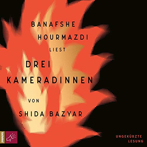 Couverture de Drei Kameradinnen