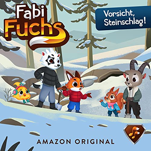 11. Vorsicht, Steinschlag! cover art