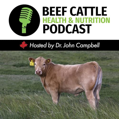 The Beef Cattle Health and Nutrition Podcast Podcast Por Dr. John Campbell arte de portada