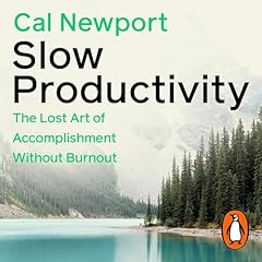 Slow Productivity cover art