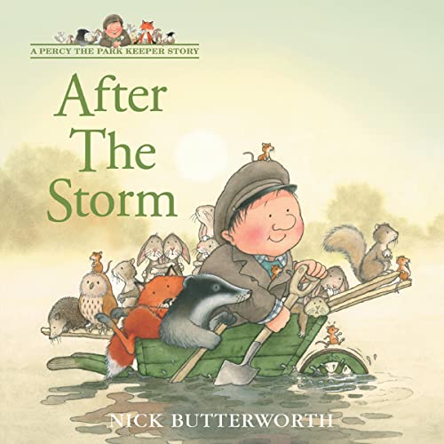 After the Storm cover art