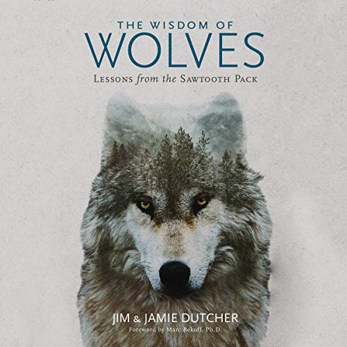 The Wisdom of Wolves Audiolivro Por Jim Dutcher, Jamie Dutcher, James Manfull - contributor, Marc Bekoff - foreword PhD capa