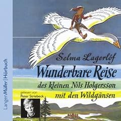 Wunderbare Reise des kleinen Nils Holgersson mit den Wildgänsen Titelbild