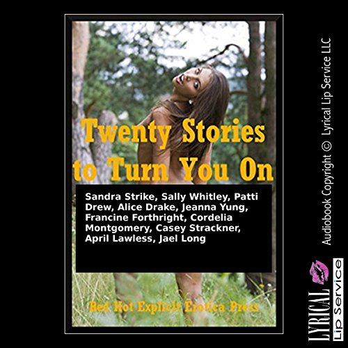 Twenty Stories to Turn You On cover art