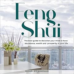 Feng Shui cover art