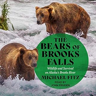 The Bears of Brooks Falls Audiolibro Por Michael Fitz arte de portada