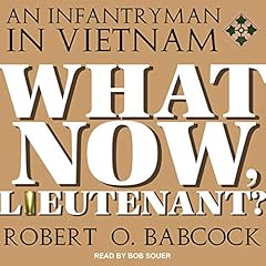 What Now, Lieutenant? cover art