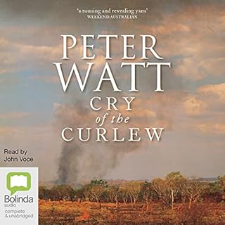 Cry of the Curlew cover art