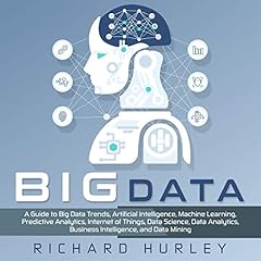 Big Data cover art