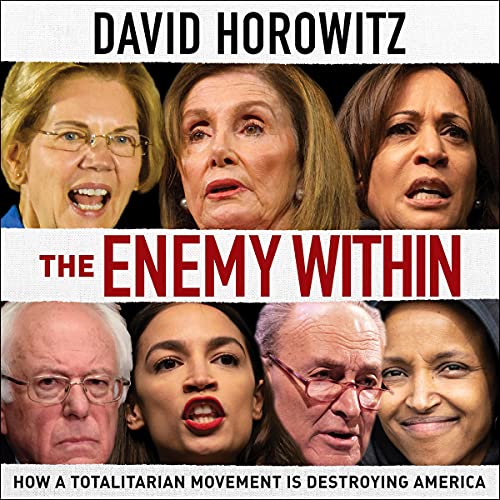 The Enemy Within Audiolibro Por David Horowitz arte de portada