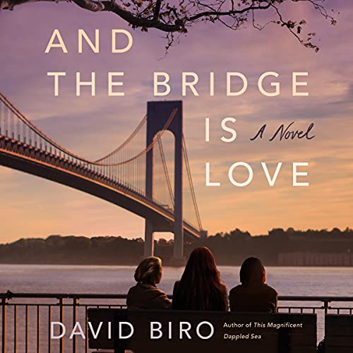 And the Bridge Is Love Audiobook By David Biro cover art