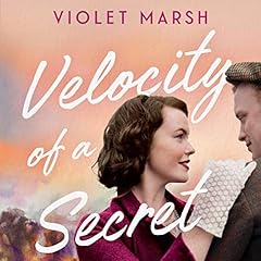 Velocity of a Secret cover art