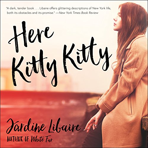 Page de couverture de Here Kitty Kitty