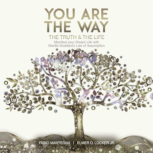 You Are the Way Audiolivro Por Elmer O. Locker Jr., Fabio Mantegna capa