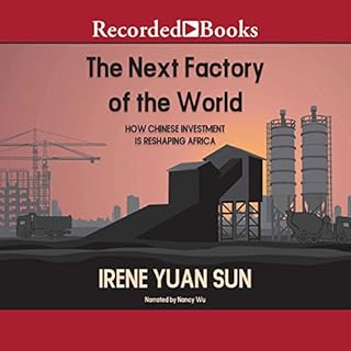 The Next Factory of the World Audiobook By Irene Yuan Sun cover art