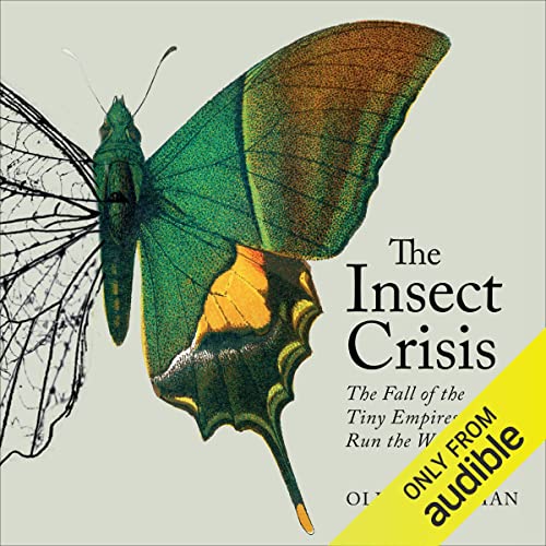 The Insect Crisis cover art