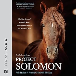 Project Solomon Audiolibro Por Jodi Stuber, Jennifer Marshall Bleakley arte de portada