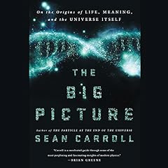 Couverture de The Big Picture