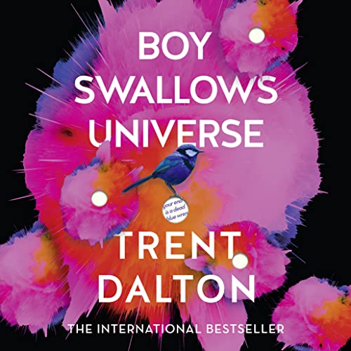 Boy Swallows Universe Audiobook By Trent Dalton cover art