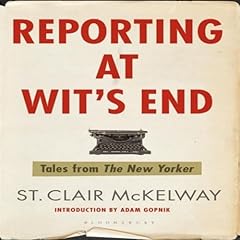 Reporting at Wit's End cover art