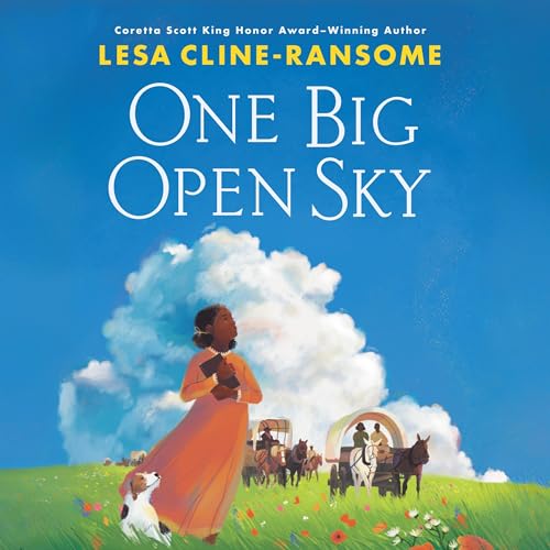 Couverture de One Big Open Sky