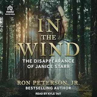 In the Wind Audiolibro Por Ron Peterson Jr. arte de portada