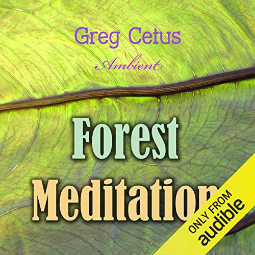 Forest Meditation cover art