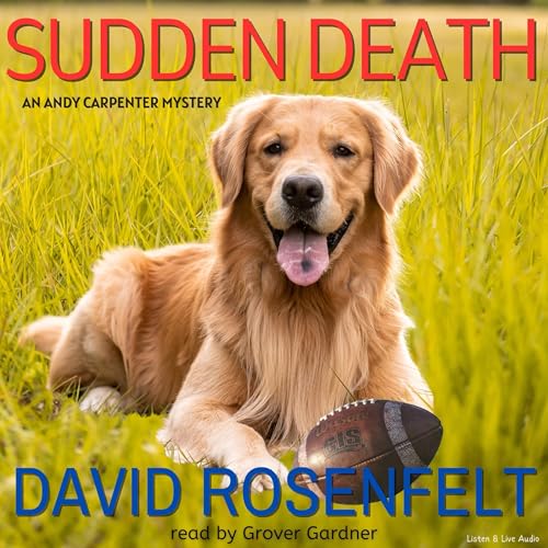 Sudden Death cover art