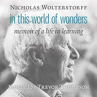 In This World of Wonders Audiolibro Por Nicholas Wolterstorff arte de portada