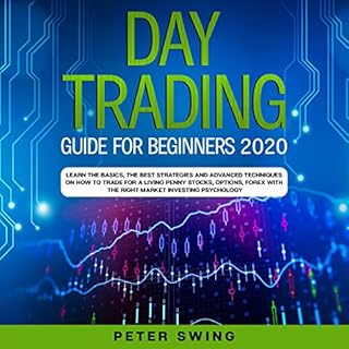 Day Trading Guide for Beginners 2020 Audiobook By Peter Swing cover art