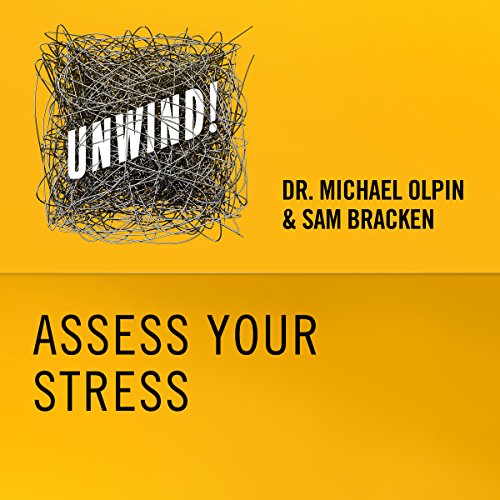 2: Assess Your Stress Audiolibro Por Michael Olpin, Sam Bracken arte de portada