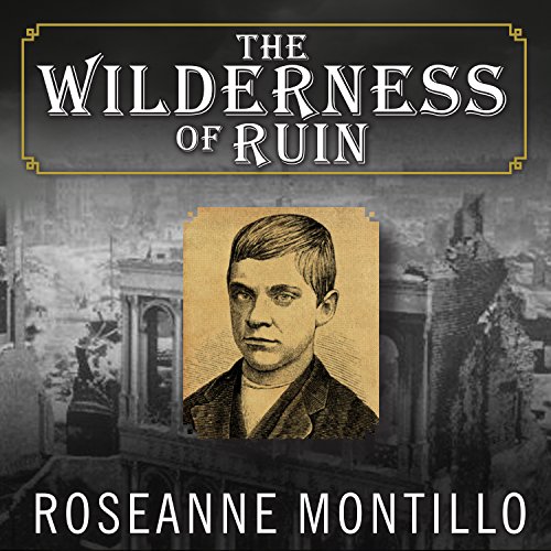 The Wilderness of Ruin Audiobook By Roseanne Montillo cover art