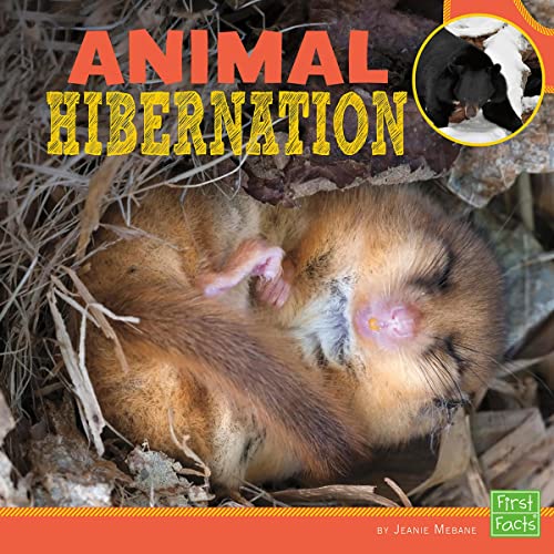 Animal Hibernation Audiolibro Por Bernd Heinrich PhD, Jeanie Mebane arte de portada