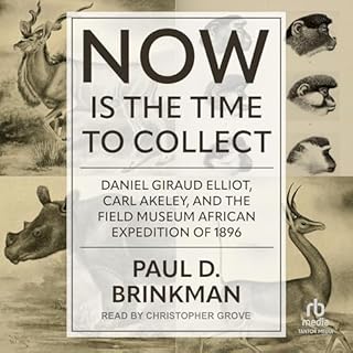 Now Is the Time to Collect Audiolibro Por Paul D. Brinkman arte de portada