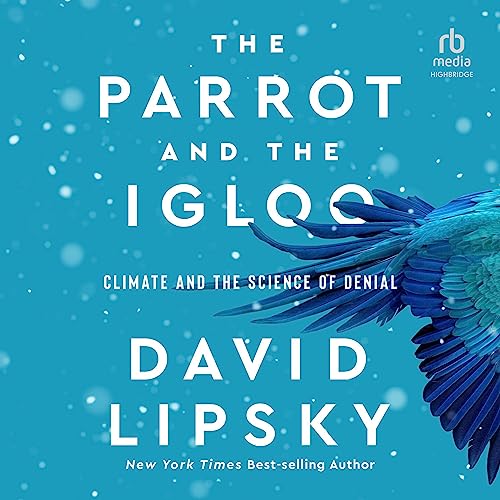 The Parrot and the Igloo Audiobook By David Lipsky cover art