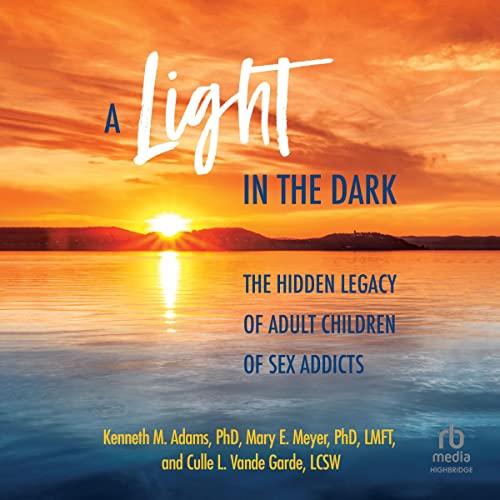 A Light in the Dark Audiobook By Kenneth M. Adams PhD, Mary E. Meyer PhD LMFT, Culle L. Vande Garde LCSW cover art