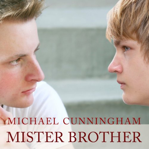 Mister Brother cover art