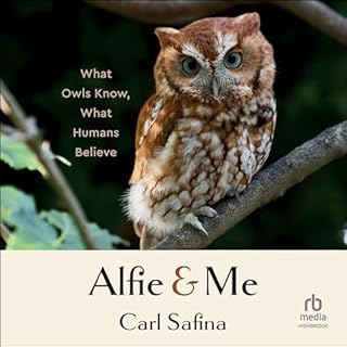 Alfie and Me cover art