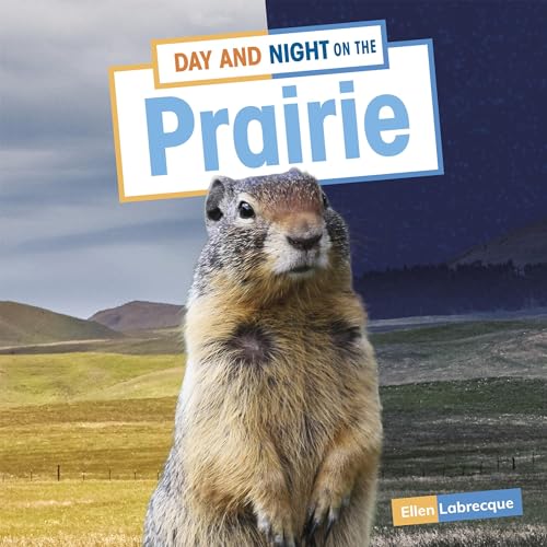 Day and Night on the Prairie copertina